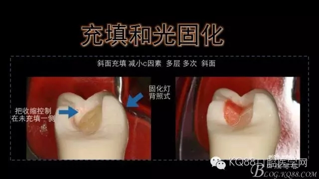 640.webp (18).jpg 640.webp (18).jpg