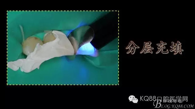 640.webp (21).jpg 640.webp (21).jpg