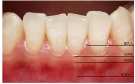 QQ圖片20160825170043.png QQ圖片20160825170043.png