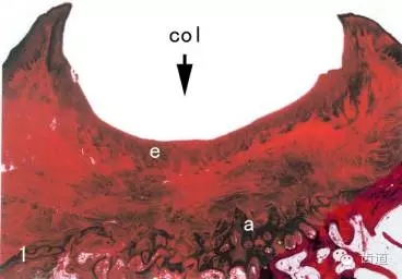 640 (1).webp (1).jpg 640 (1).webp (1).jpg