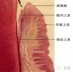 640 (1).webp.jpg 640 (1).webp.jpg