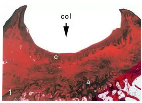 QQ圖片20160825170221.png QQ圖片20160825170221.png