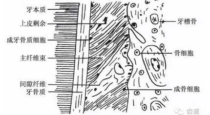 QQ圖片20160825170402.png QQ圖片20160825170402.png