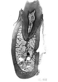 QQ圖片20160825170441.png QQ圖片20160825170441.png