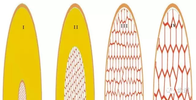 640 (7).webp.jpg 640 (7).webp.jpg