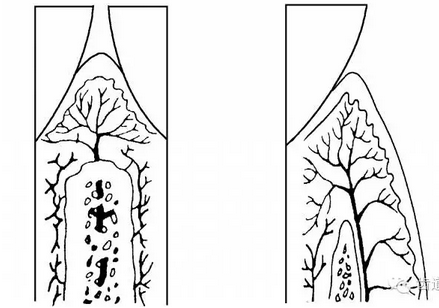 QQ圖片20160825170524.png QQ圖片20160825170524.png