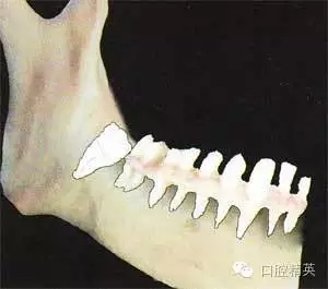 640.webp (3).jpg 640.webp (3).jpg