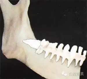 640.webp (5).jpg 640.webp (5).jpg