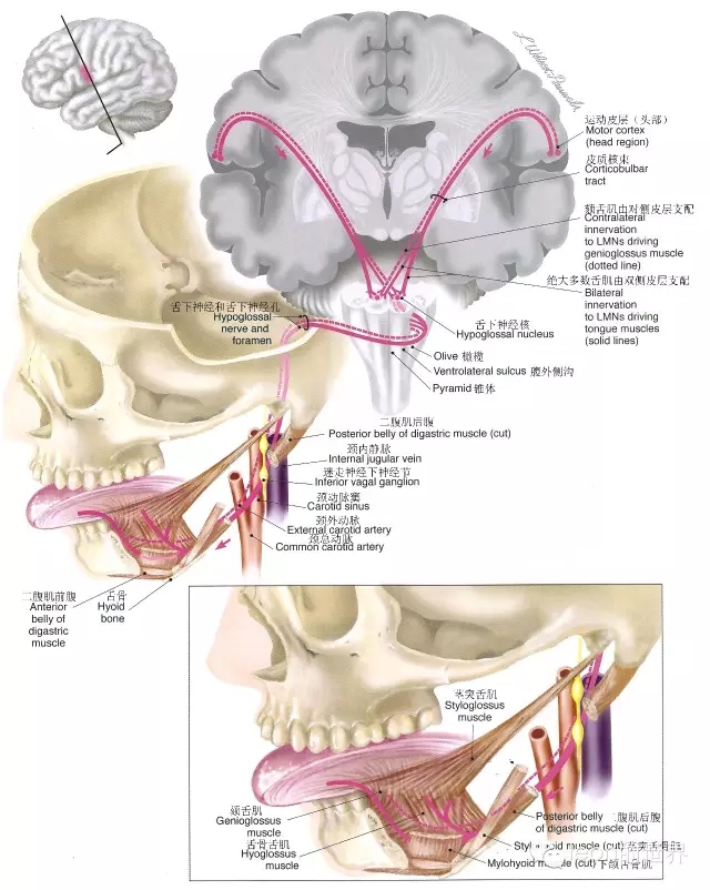 640.webp.jpg 640.webp.jpg