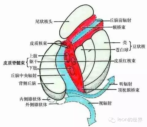 640.webp (3).jpg 640.webp (3).jpg