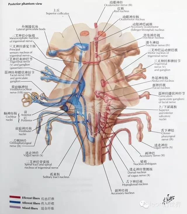 640.webp (4).jpg 640.webp (4).jpg