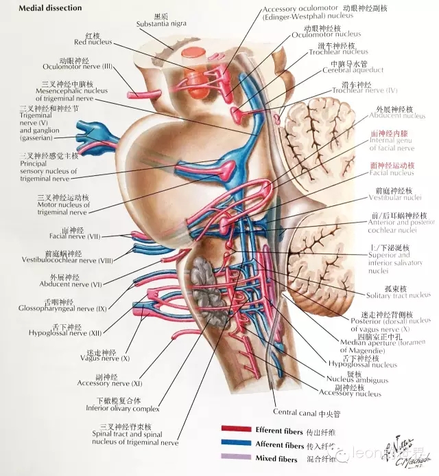 640.webp (5).jpg 640.webp (5).jpg