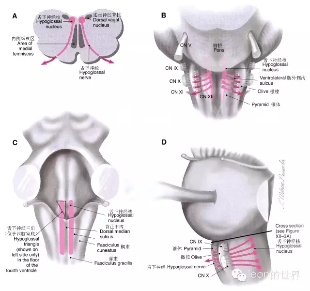 640.webp (6).jpg 640.webp (6).jpg
