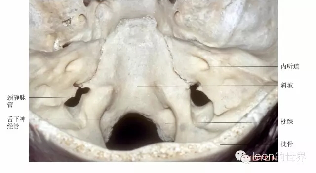 640.webp (12).jpg 640.webp (12).jpg