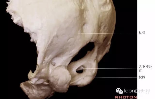 640.webp (13).jpg 640.webp (13).jpg