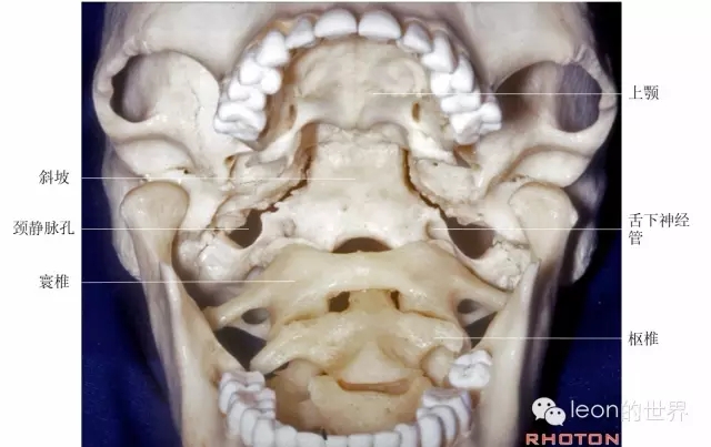 640.webp (16).jpg 640.webp (16).jpg