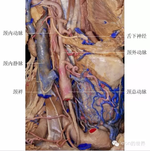 640.webp (20).jpg 640.webp (20).jpg