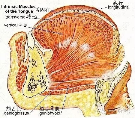 640.webp (21).jpg 640.webp (21).jpg