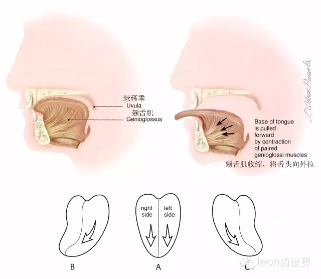 640.webp (24).jpg 640.webp (24).jpg