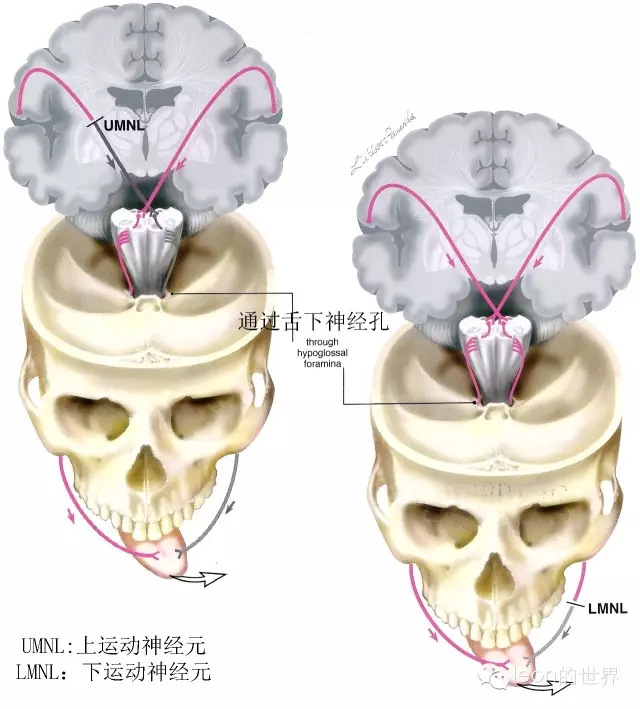 640.webp (25).jpg 640.webp (25).jpg