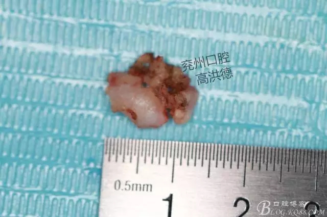 640.webp (13).jpg 640.webp (13).jpg