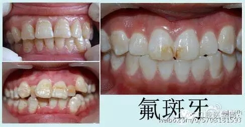 640.webp.jpg 640.webp.jpg