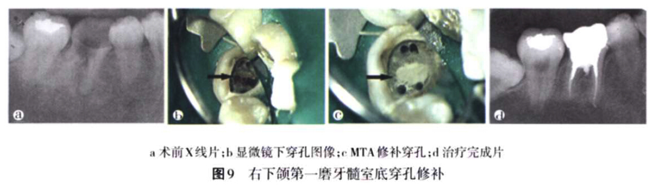 QQ截圖20160803141103.jpg QQ截圖20160803141103.jpg
