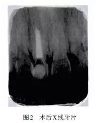 640.webp (5).jpg 640.webp (5).jpg