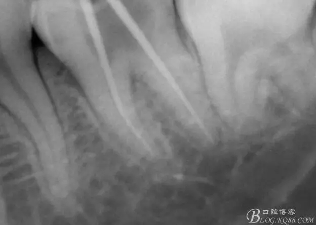 640.webp (1).jpg 640.webp (1).jpg