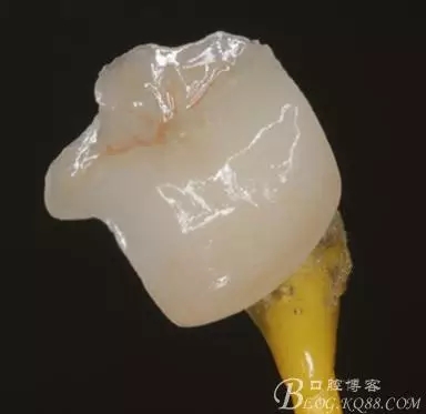 640.webp (10).jpg 640.webp (10).jpg