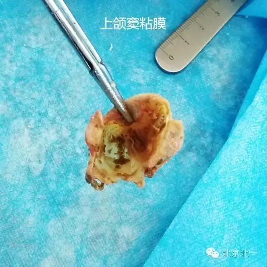 640.webp (6).jpg 640.webp (6).jpg