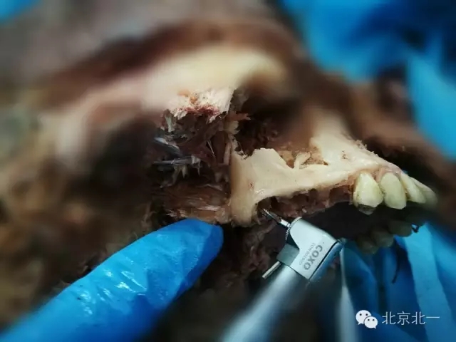 640.webp (14).jpg 640.webp (14).jpg