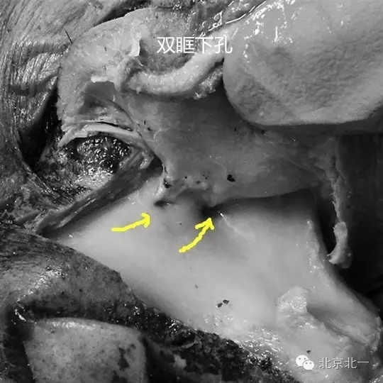 640.webp (15).jpg 640.webp (15).jpg