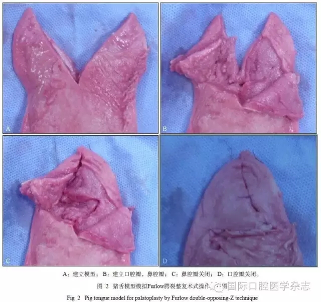 640.webp (2).jpg 640.webp (2).jpg