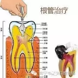 640.webp.jpg 640.webp.jpg