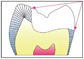 640.webp (1).jpg 640.webp (1).jpg