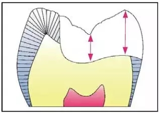 640.webp (2).jpg 640.webp (2).jpg