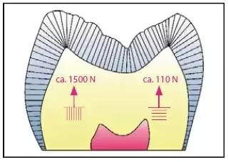 640.webp (8).jpg 640.webp (8).jpg