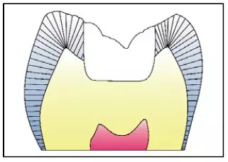 640.webp (9).jpg 640.webp (9).jpg