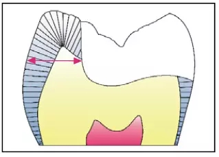 640.webp (10).jpg 640.webp (10).jpg
