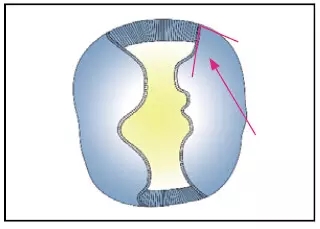 640.webp (13).jpg 640.webp (13).jpg