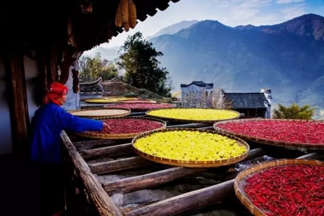 640.webp (5).jpg 640.webp (5).jpg