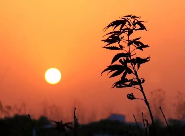 640.webp (18).jpg 640.webp (18).jpg