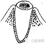 640.webp.jpg 640.webp.jpg