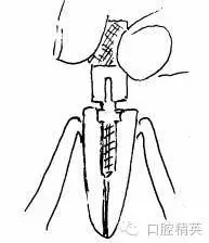 640.webp (3).jpg 640.webp (3).jpg