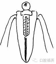 640.webp (4).jpg 640.webp (4).jpg