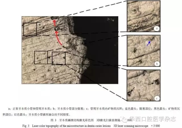 640.webp (2).jpg 640.webp (2).jpg