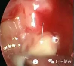 640.webp (1).jpg 640.webp (1).jpg