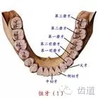 640.webp (2).jpg 640.webp (2).jpg