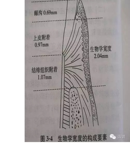 640.webp (6).jpg 640.webp (6).jpg